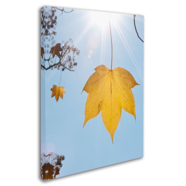 Kurt Shaffer 'Autumn Inspiration' Canvas Art,18x24